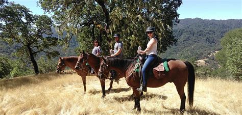 horse riding one tree hill.